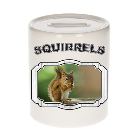 Animal squirrels money box white 300 ml