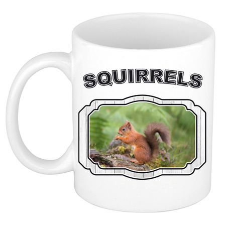 Animal squirrels mug / cup white 300 ml