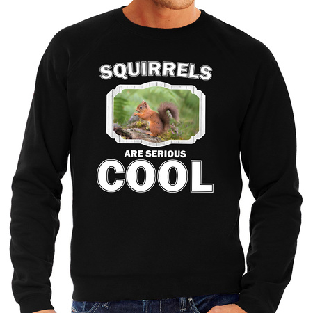 Animal squirrels are cool sweater black for men