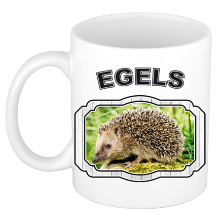 Animal hedgehogs mug / cup white 300 ml