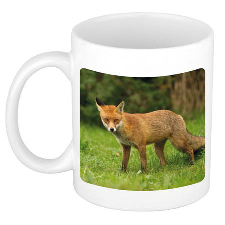 Animal photo mug foxes 300 ml