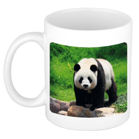 Animal photo mug panda bears 300 ml