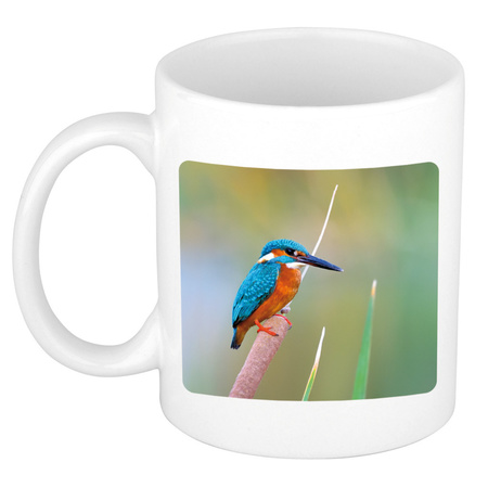 Animal photo mug kingfisher birds 300 ml