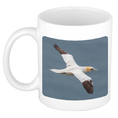 Animal photo mug gannet birds 300 ml