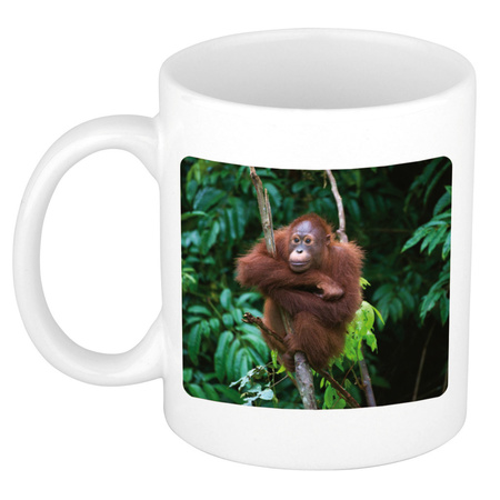 Animal photo mug orangutans 300 ml
