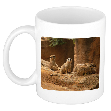 Animal photo mug meerkats 300 ml