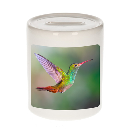 Animal photo money box hummingbird