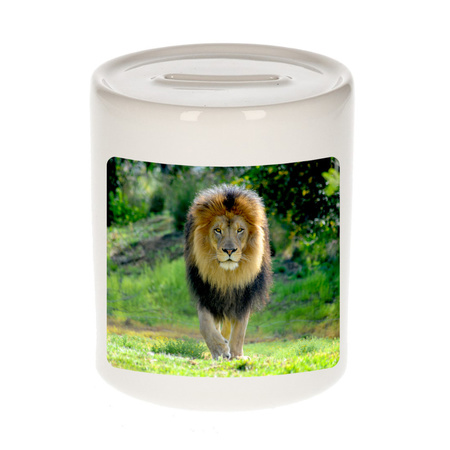 Animal photo money box lions