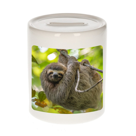Animal photo money box sloths