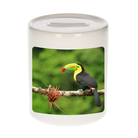 Animal photo money box toucan