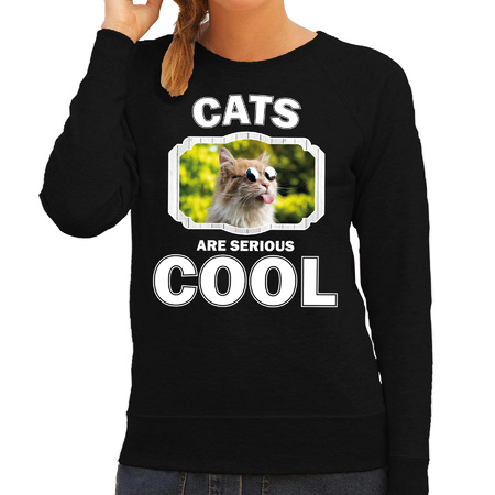 Animal cool cats are cool sweater black for women