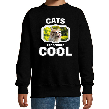 Sweater cats are serious cool zwart kinderen - katten/ gekke poes trui