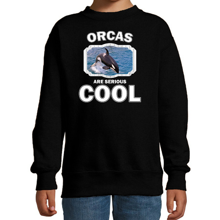 Animal killer whales are cool sweater black for children