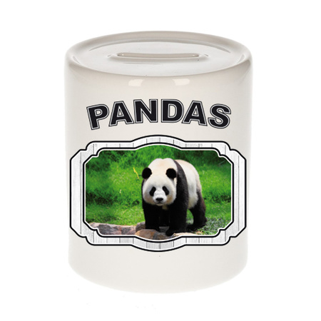 Animal panda bears money box white 300 ml