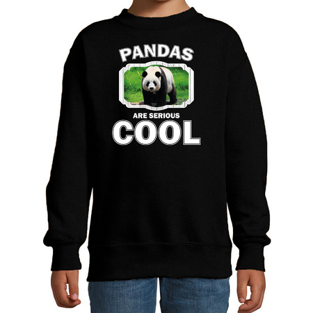 Sweater pandas are serious cool zwart kinderen - pandaberen/ grote panda trui