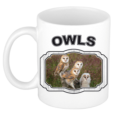 5x animals birds owls print drink mugs 300 ml