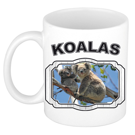 Animal koala bear mug / cup white 300 ml