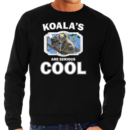 Animal koala bear are cool sweater black for men