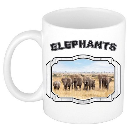Dieren liefhebber olifant mok 300 ml - kudde olifanten beker