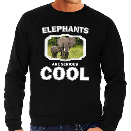 Sweater elephants are serious cool zwart heren - olifanten/ olifant met kalf trui