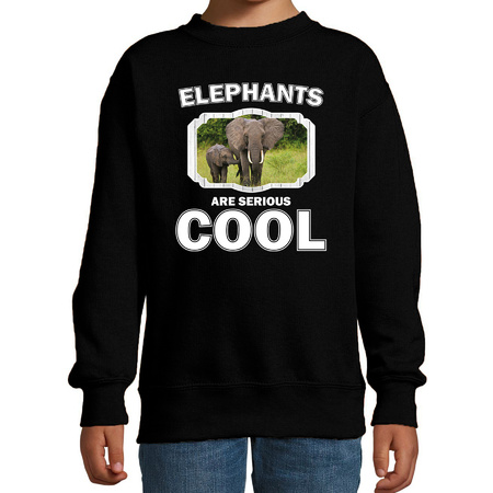 Animal elephants are cool sweater black for children