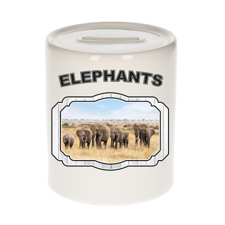 Animal elephants money box white 300 ml