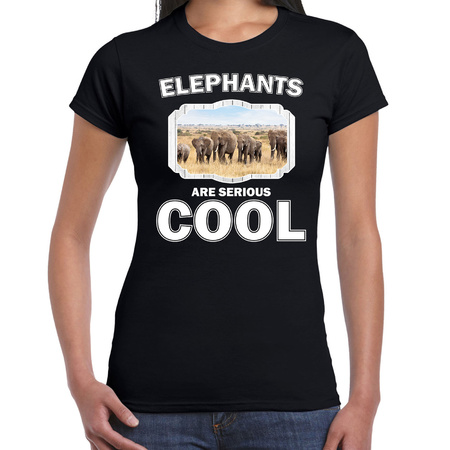 T-shirt elephants are serious cool zwart dames - kudde olifanten/ olifant shirt