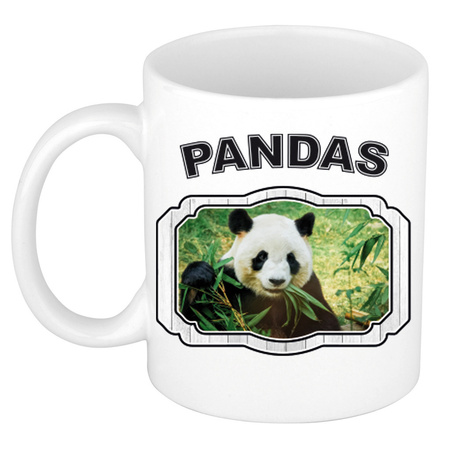 Dieren liefhebber panda mok 300 ml - pandaberen beker