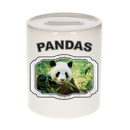 Animal panda bears money box white 300 ml