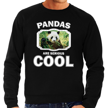 Sweater pandas are serious cool zwart heren - pandaberen/ panda trui