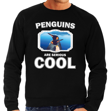 Animal penguins are cool sweater black for men