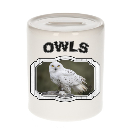 Animal snowy owls money box white 300 ml
