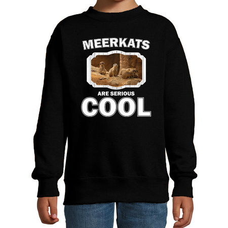 Sweater meerkats are serious cool zwart kinderen - stokstaartjes/ stokstaartje trui