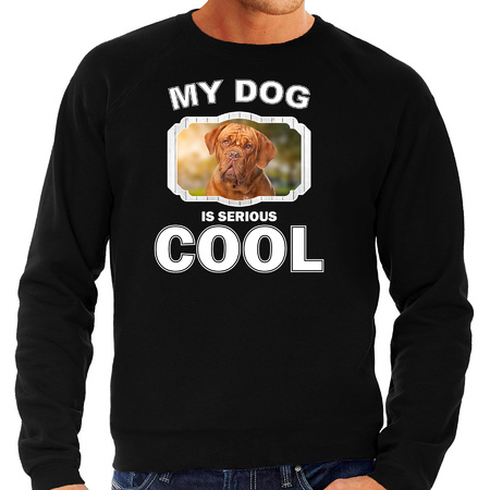 Honden liefhebber trui / sweater Franse mastiff my dog is serious cool zwart voor heren