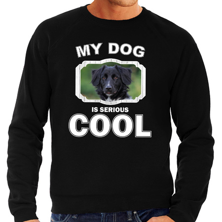 Honden liefhebber trui / sweater Friese stabij my dog is serious cool zwart voor heren