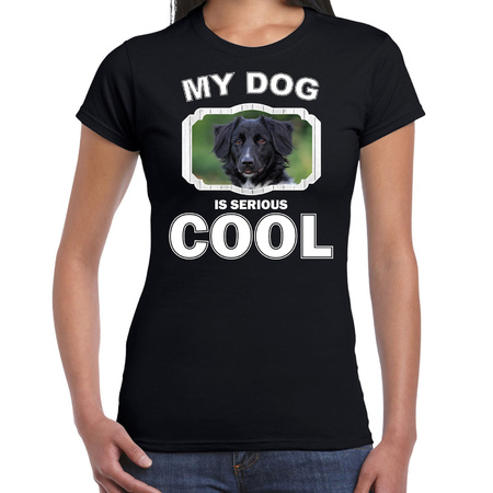 Friesian stabij dog t-shirt my dog is serious cool black for women