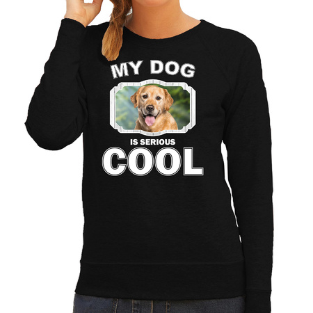 Honden liefhebber trui / sweater Golden retriever my dog is serious cool zwart voor dames