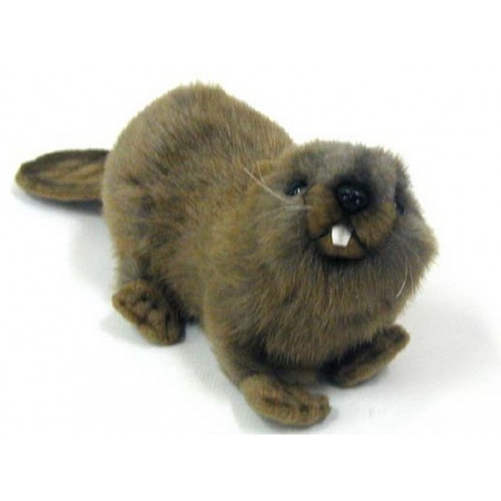 Plush beaver 20 cm