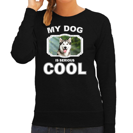 Honden liefhebber trui / sweater Husky my dog is serious cool zwart voor dames