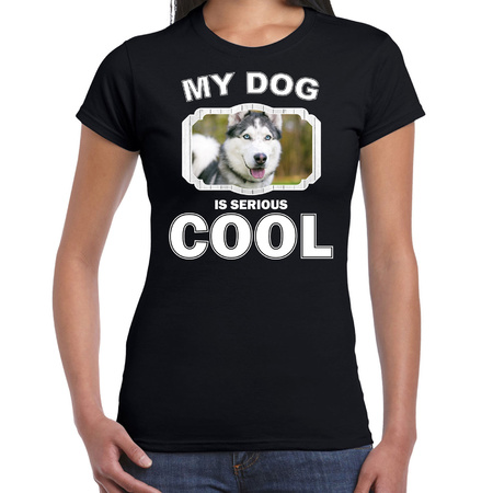 Husky dog t-shirt my dog is serious cool black for women