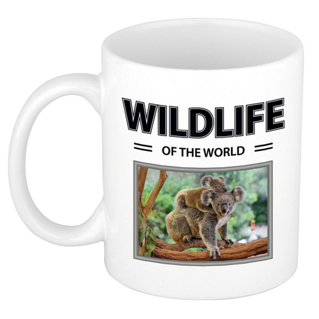 Animal photo mug Koalas wildlife of the world 300 ml