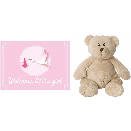 Kraamcadeau beren knuffel 17 cm met Welcome little girl wenskaart /ansichtkaart