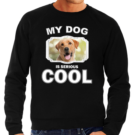 Honden liefhebber trui / sweater Labrador retriever my dog is serious cool zwart voor heren