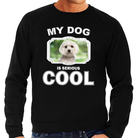 Honden liefhebber trui / sweater Maltezer my dog is serious cool zwart voor heren