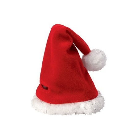 Mini Christmas hat