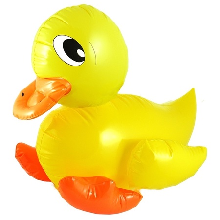 Inflatable duck and parrot