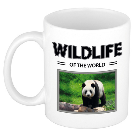 Animal photo mug Pandas wildlife of the world 300 ml