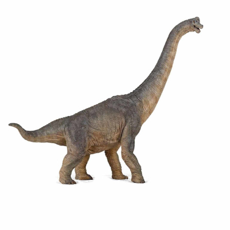 Plastic speelfiguur braciosaurus dinosaurus 39,5 cm