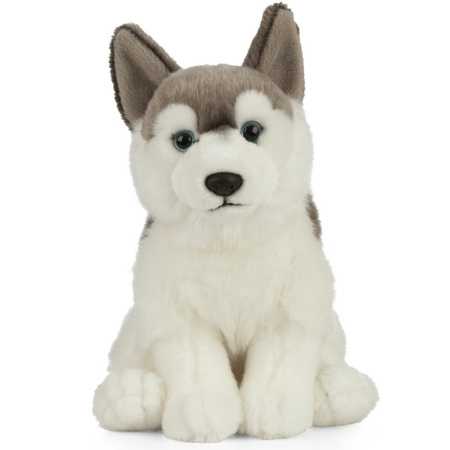 Plush grey/white Husky dog 25 cm
