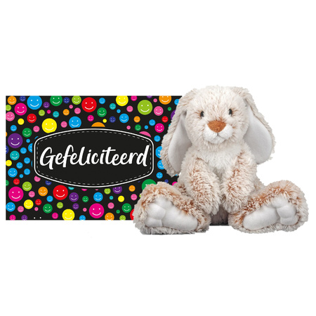 Plush soft toy rabbit 25 cm with an A5-size Gefeliciteerd postcard